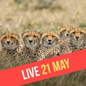 Live 21 May